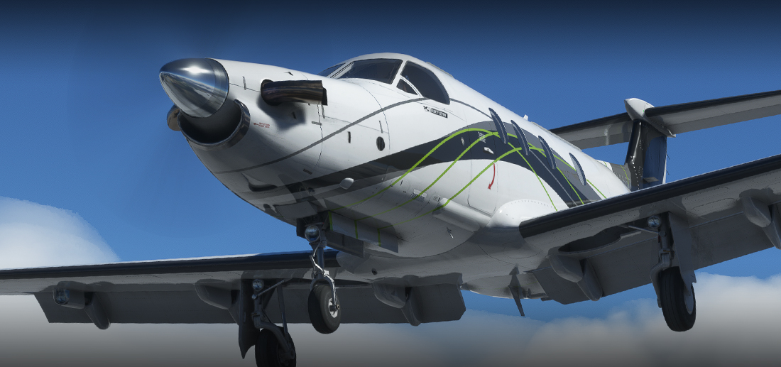 Quest Diagnostics N338QD - Cargo, SimWorks Studios PC-12 [4K] for  Microsoft Flight Simulator