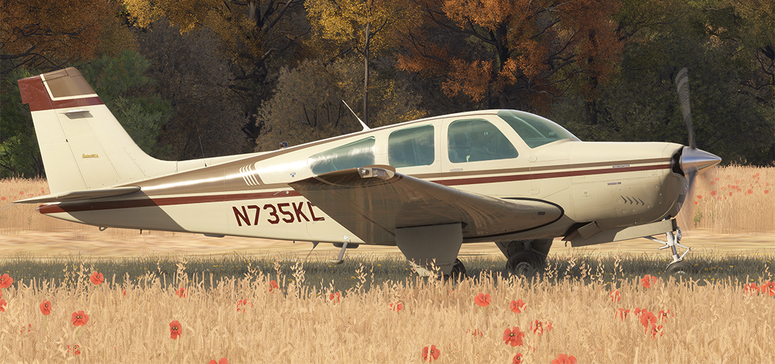 F33A MSFS2024 – Carenado