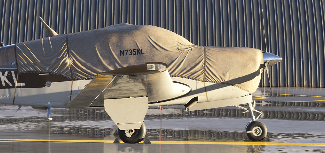 F33A MSFS2024 – Carenado